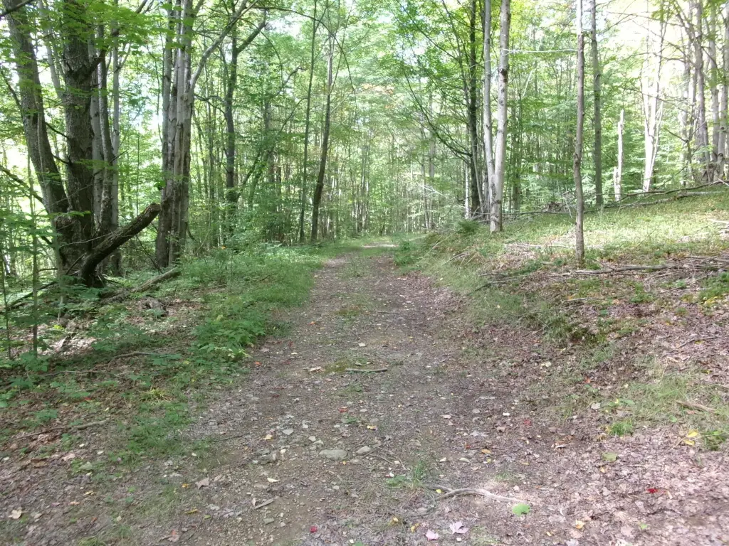 Picture 35