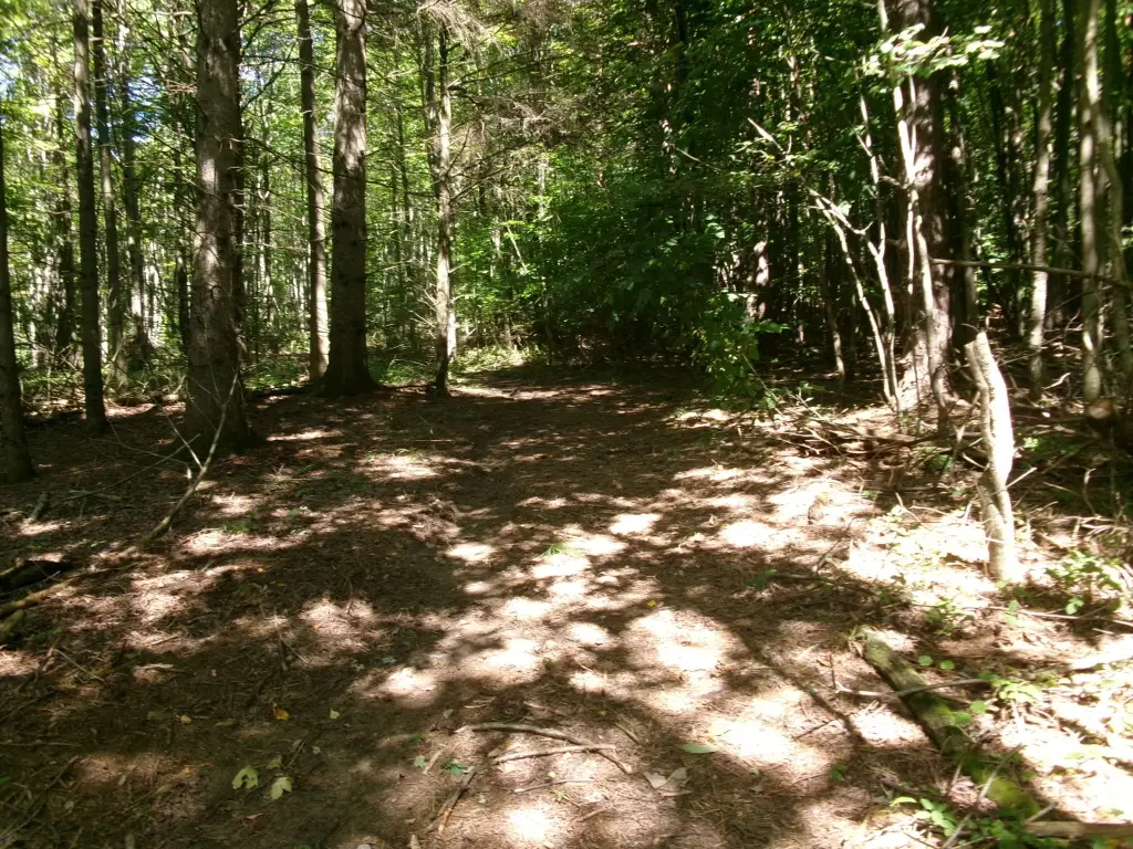 Picture 23