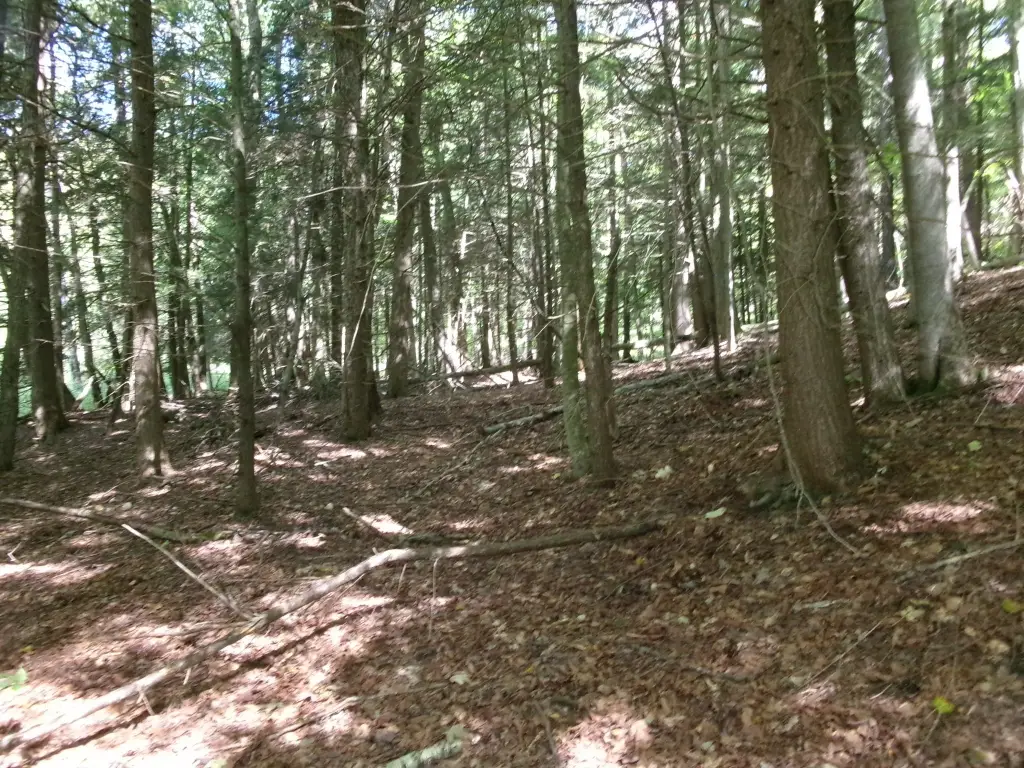 Picture 10