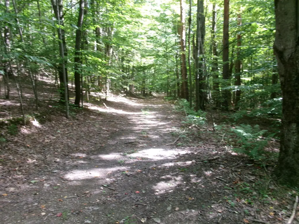 Picture 36