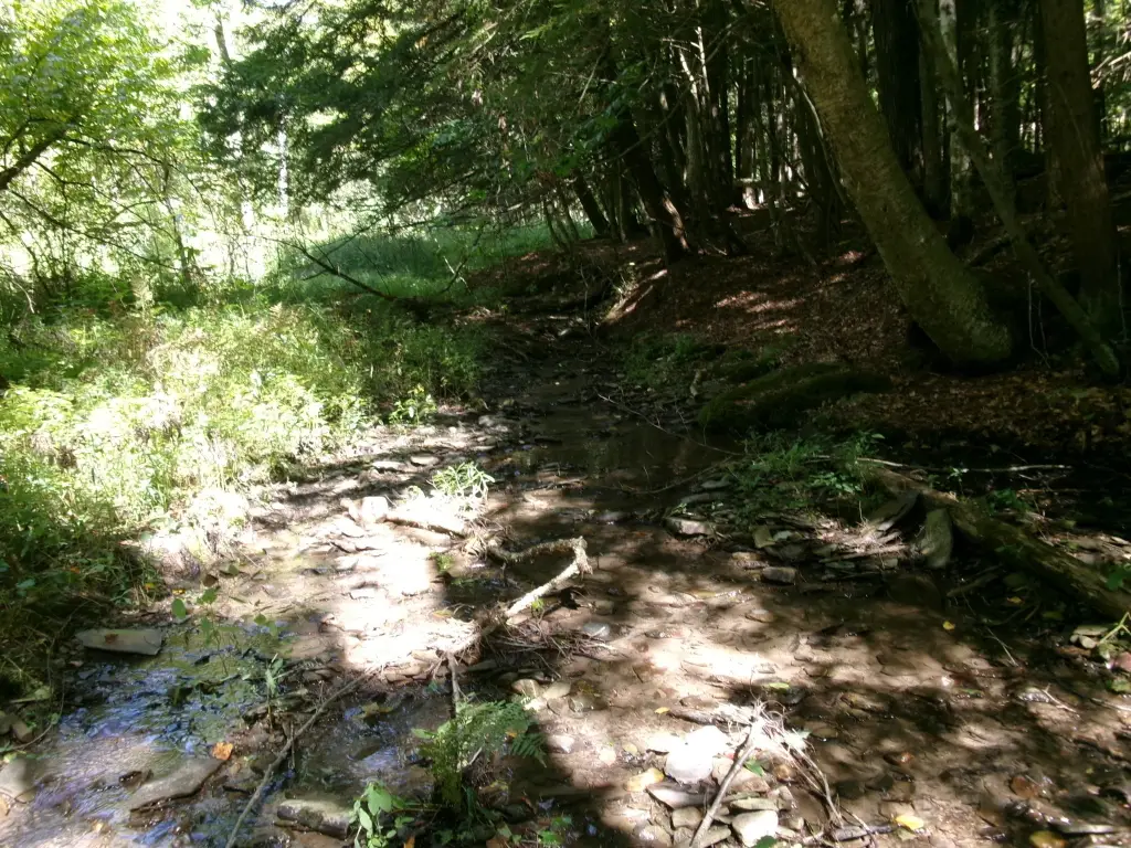 Picture 8