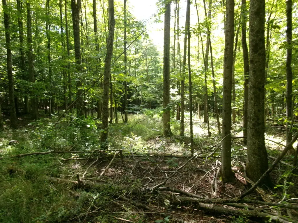 Picture 16