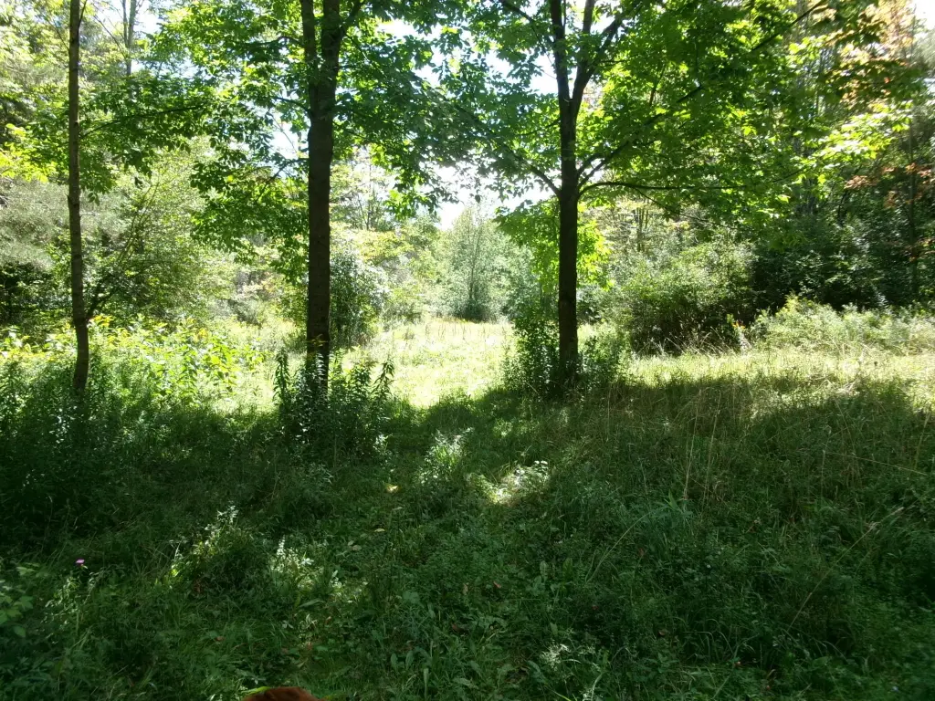 Picture 30