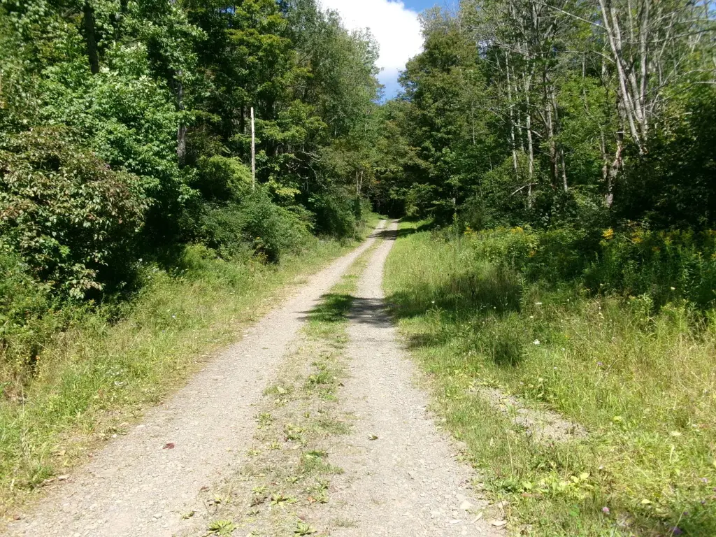Picture 2