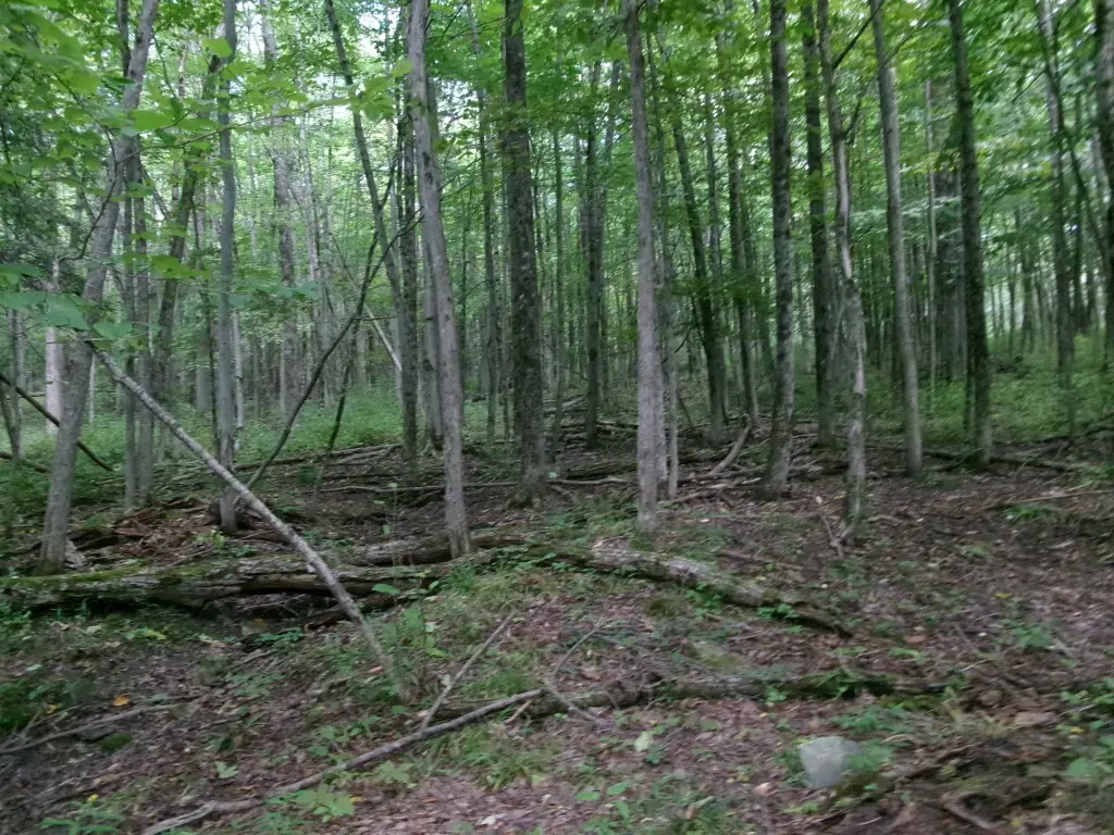 Picture 19