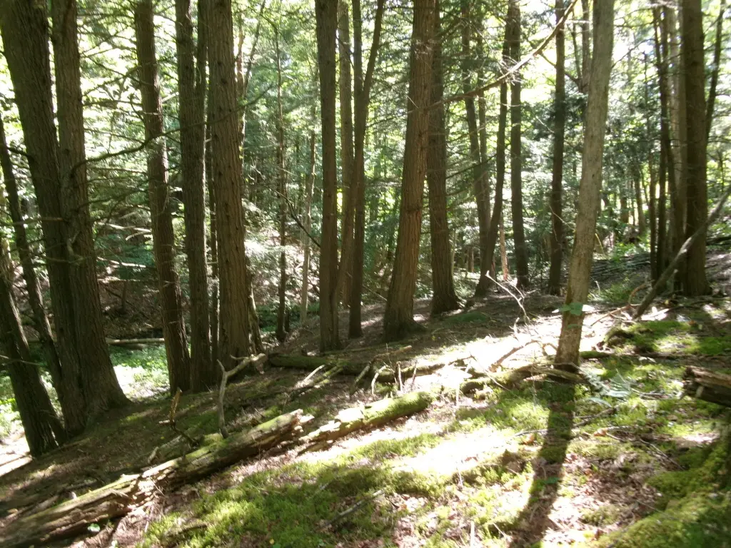 Picture 6