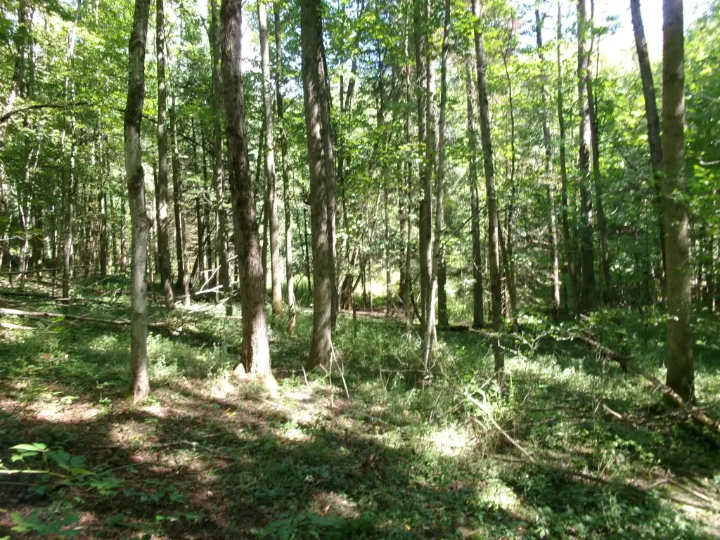 Picture 4