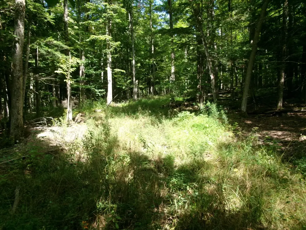 Picture 14