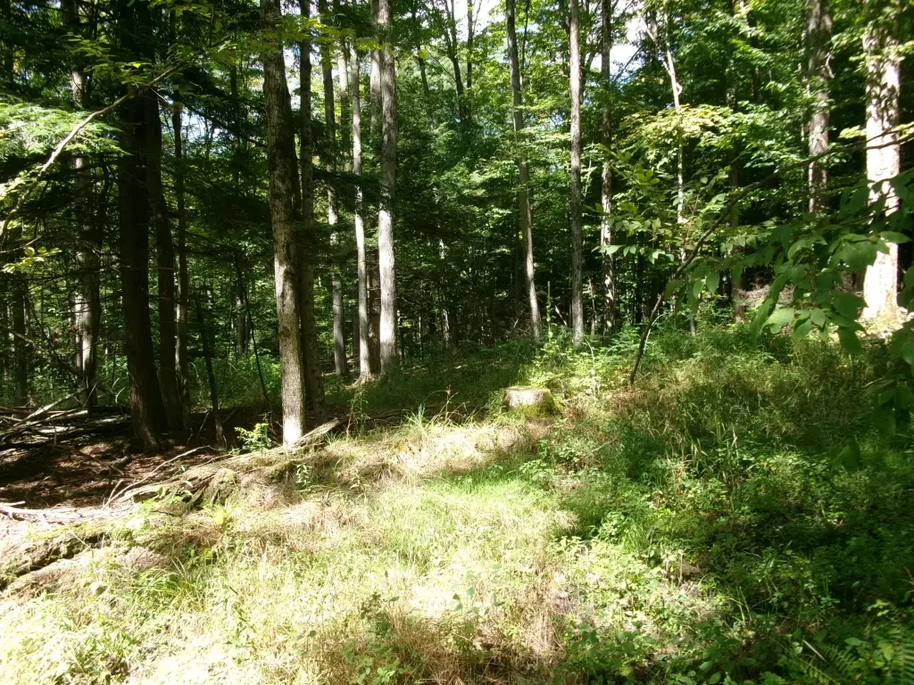 Picture 15