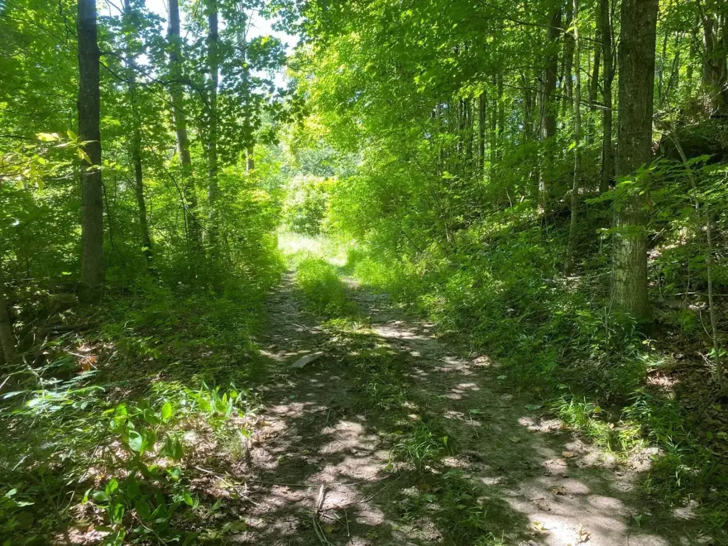 Picture 47