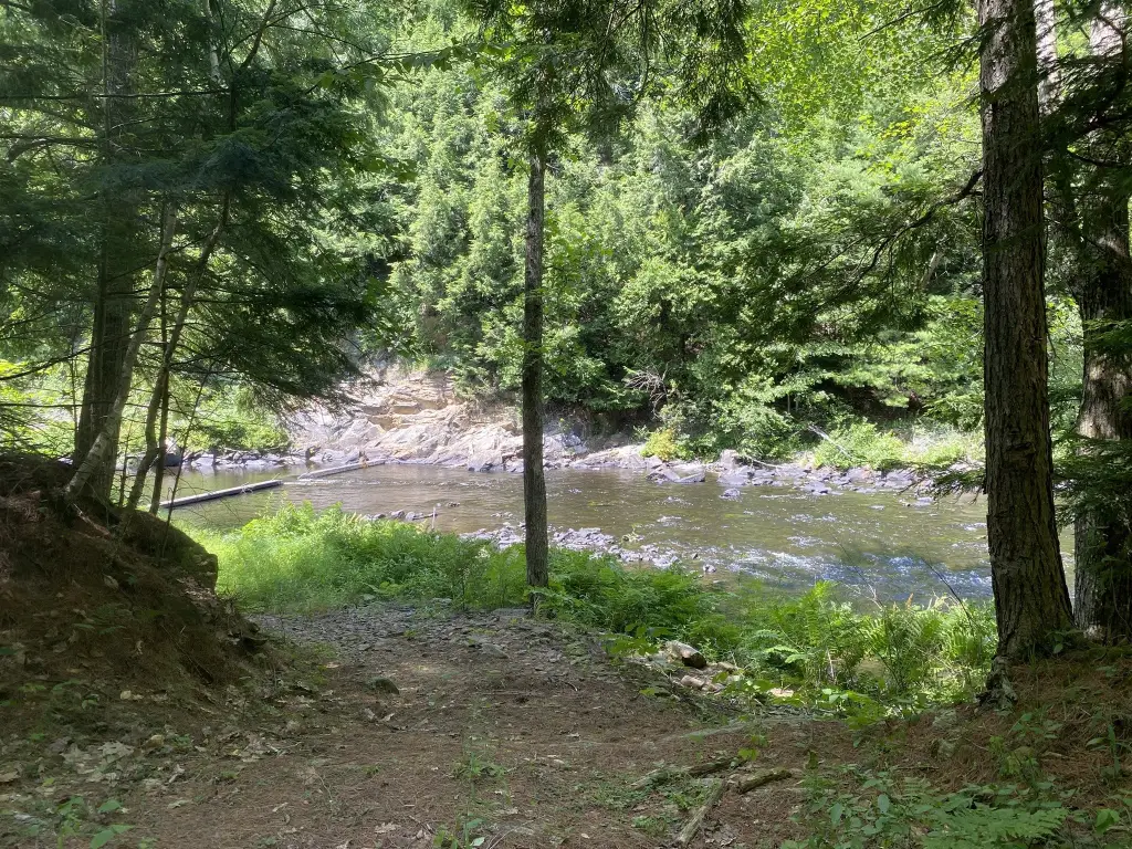 Picture 27