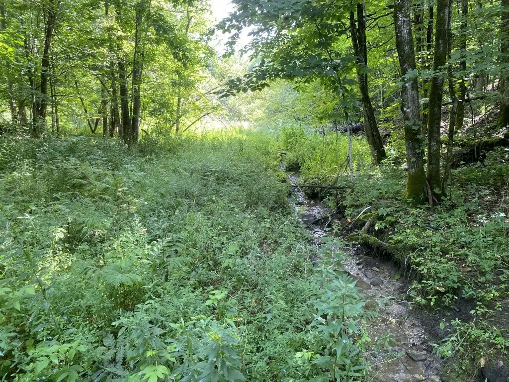 Picture 12