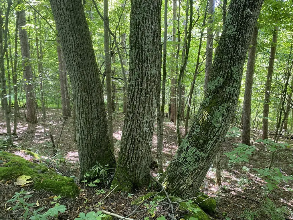Picture 28