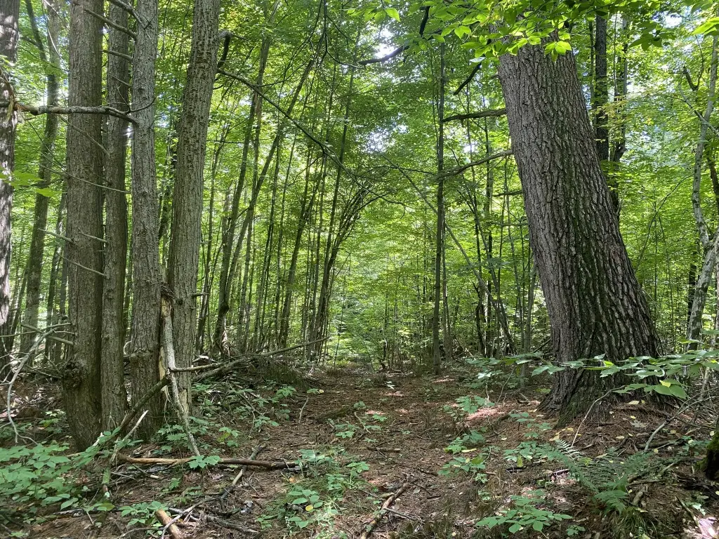 Picture 26