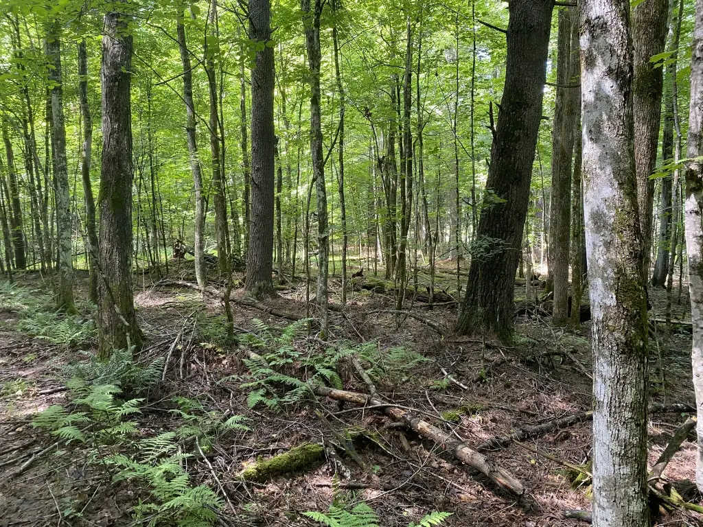 Picture 21