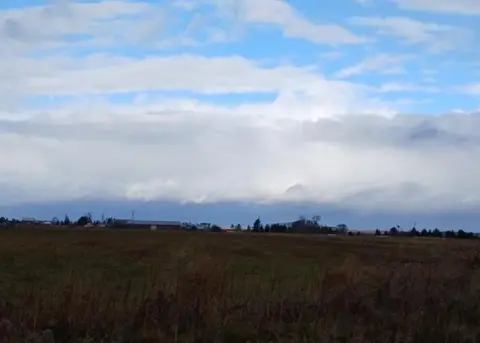 Timothy Hay Farmland