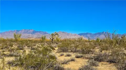 40 Acres in Yucca, AZ