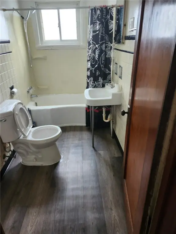 Picture 12