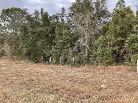 Acre Lot in Williston, FL