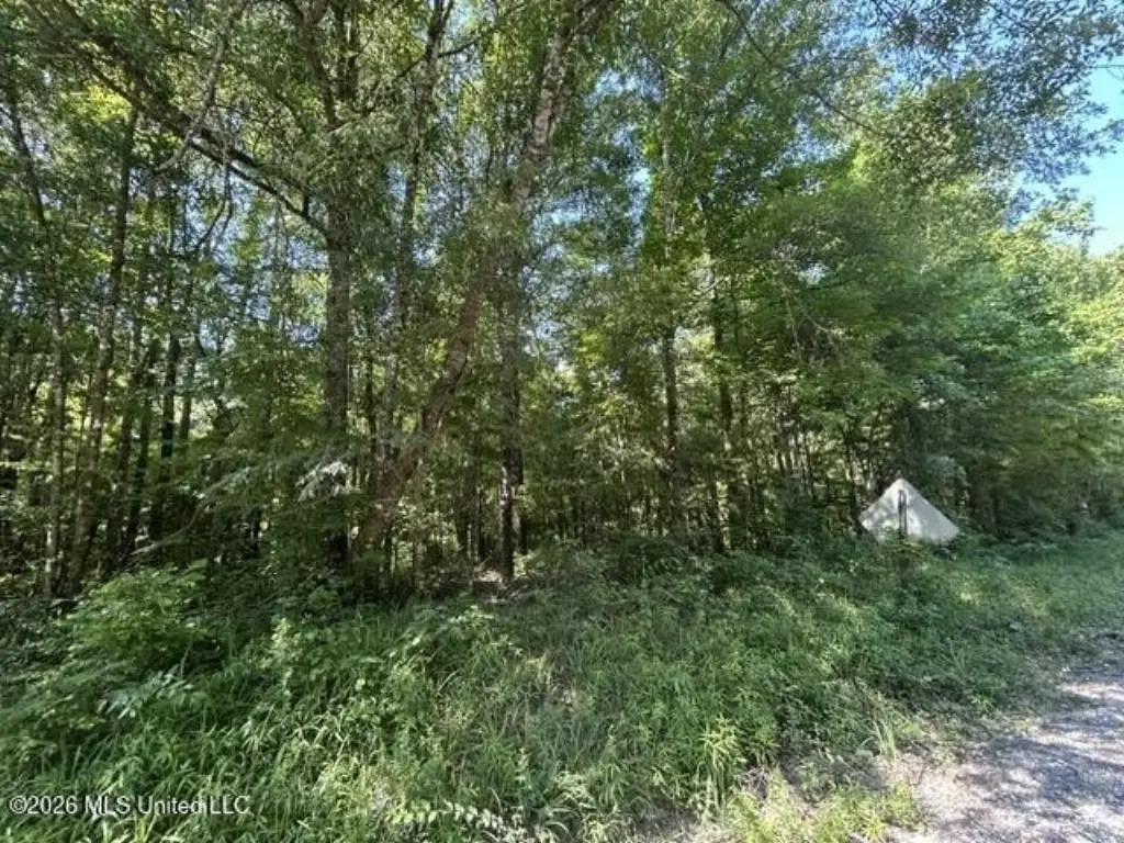 Picture 3