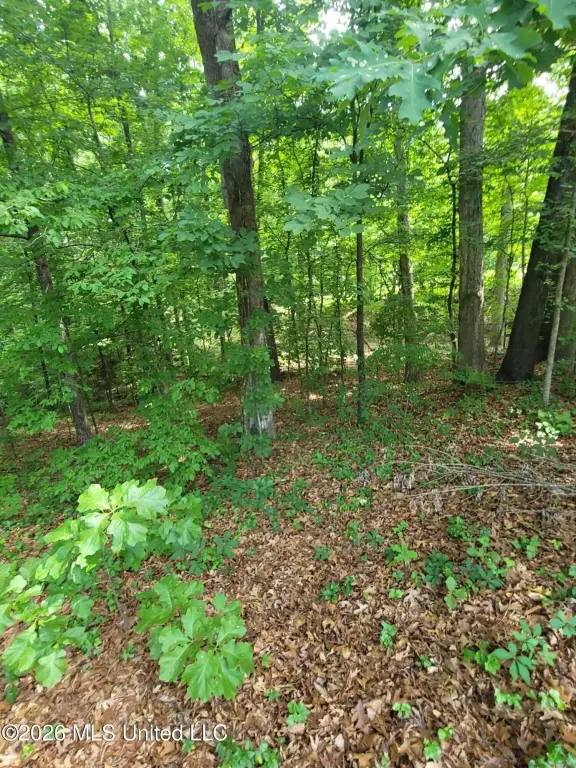 Picture 2