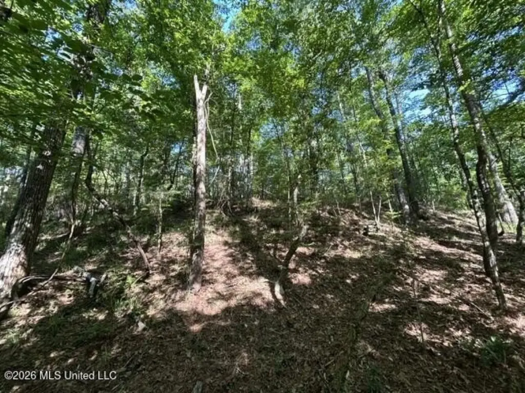 Picture 7