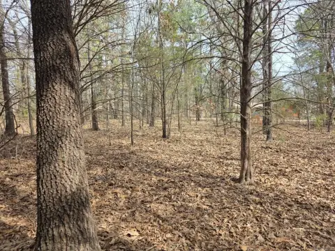 Cherokee Village Building Lot