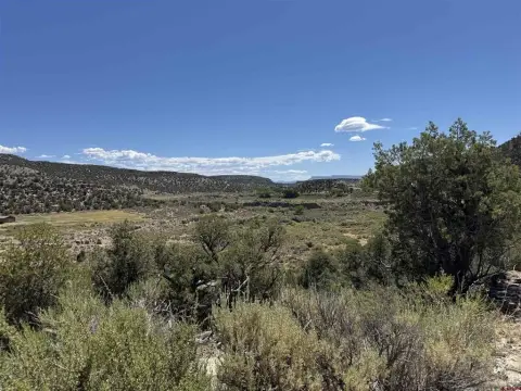 Land in McElmo Canyon