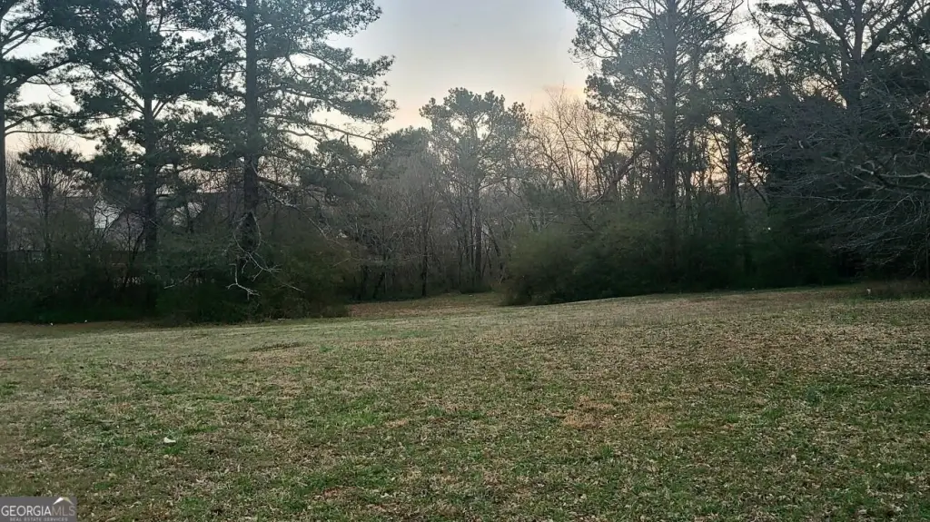 Picture 8