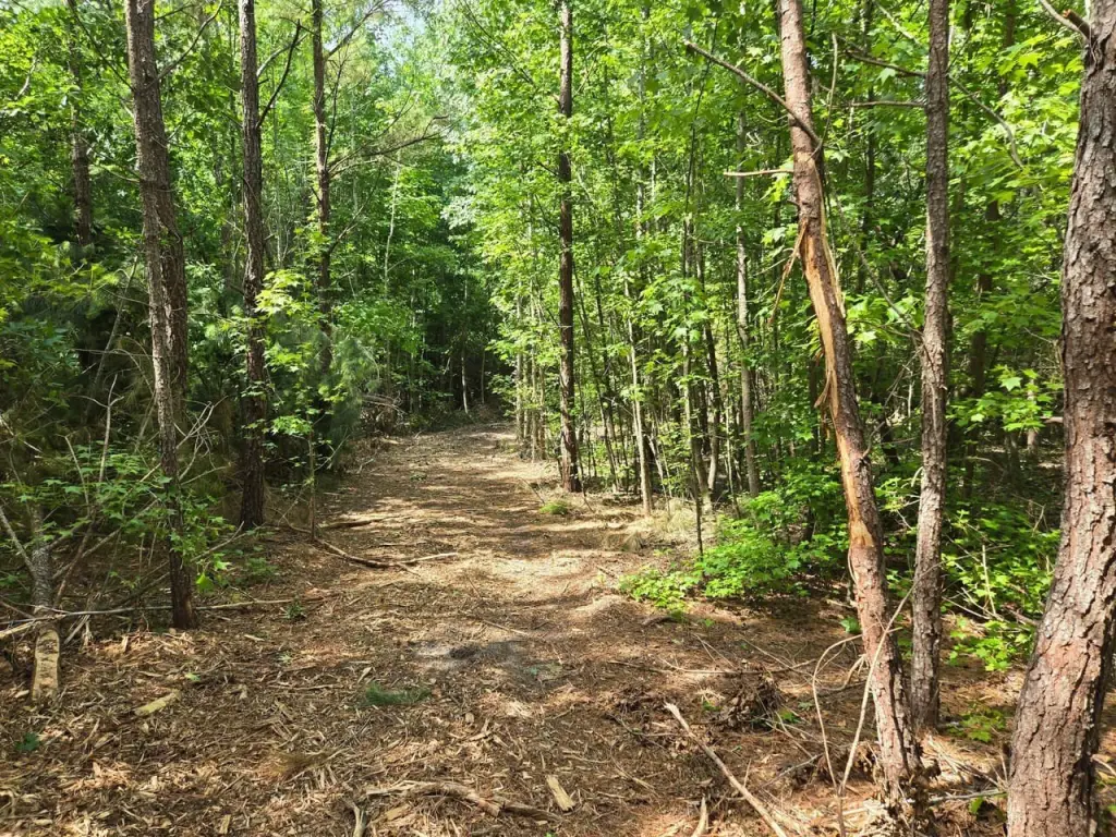 Picture 19
