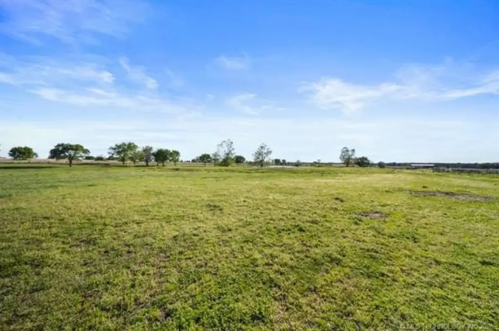 Picture 21