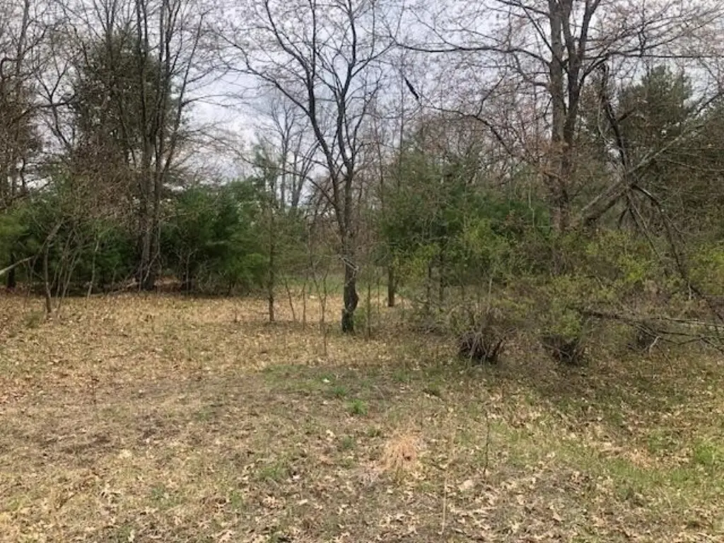 Picture 10