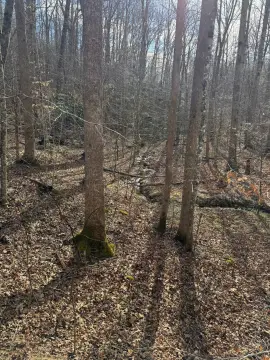 Gatlinburg Vacant Land Opportunity