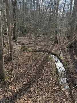 Gatlinburg Vacant Land Opportunity
