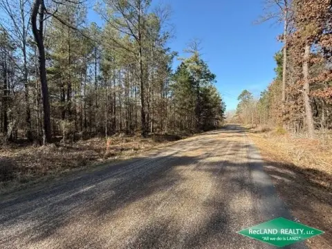 30 Acres Wooded Land Tract