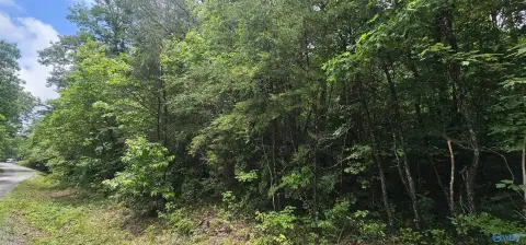 Wooded Acreage in Mentone, Alabama