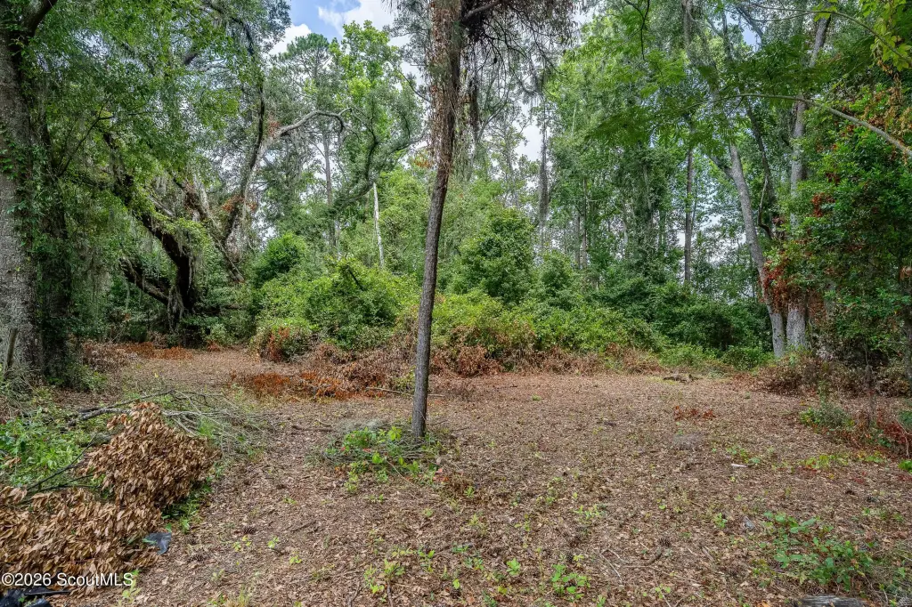 Picture 22