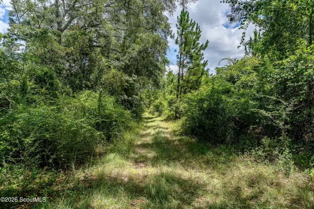 Picture 25