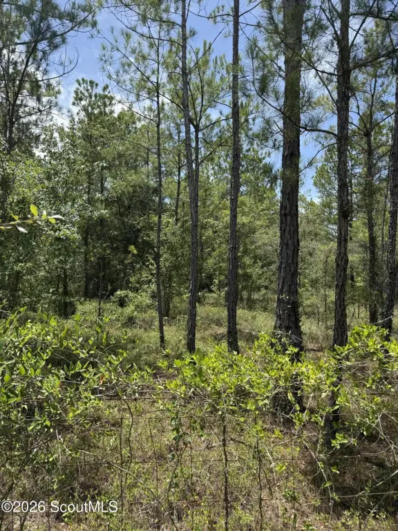Picture 3