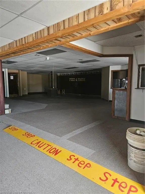 Picture 8