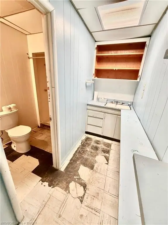 Picture 19