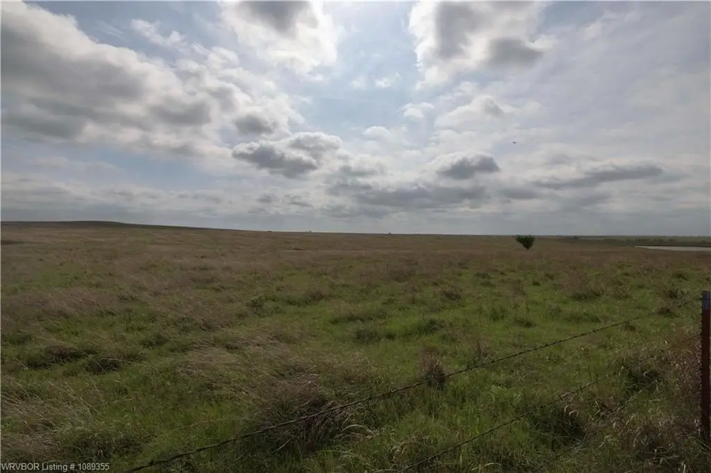Picture 23
