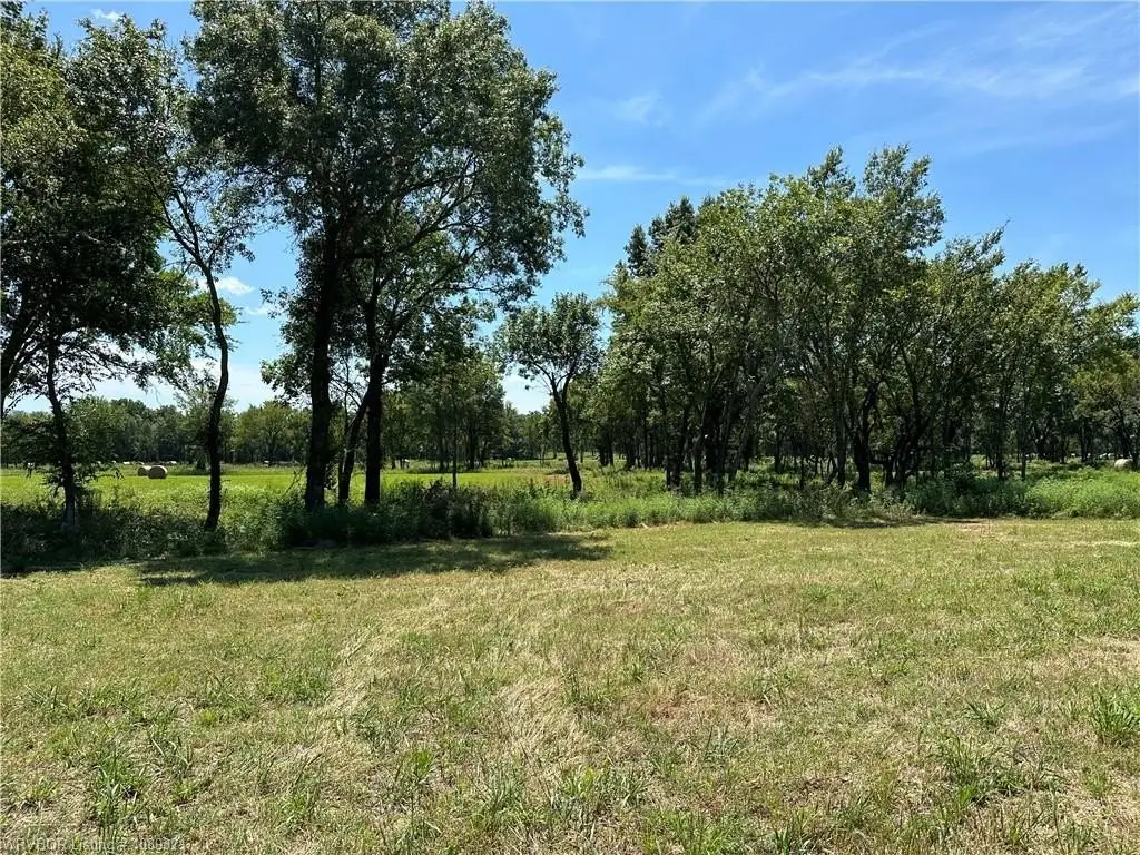 Picture 25