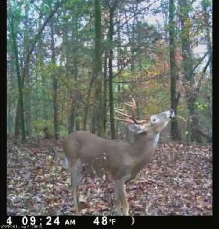 Picture 11