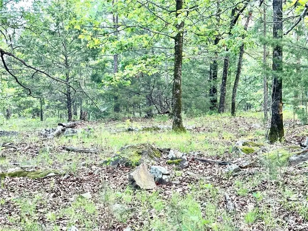 Picture 26