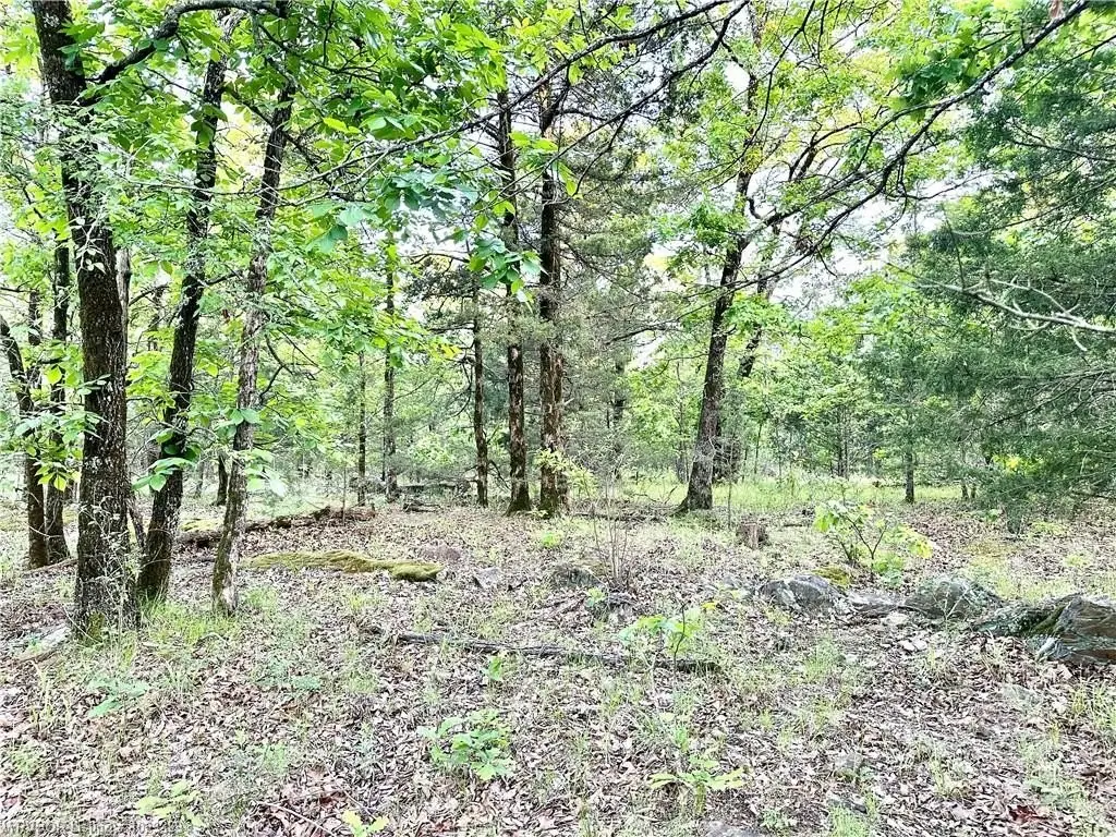 Picture 28