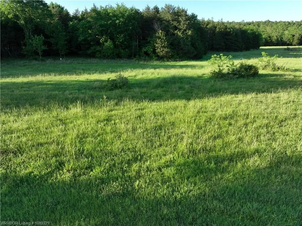 Picture 42