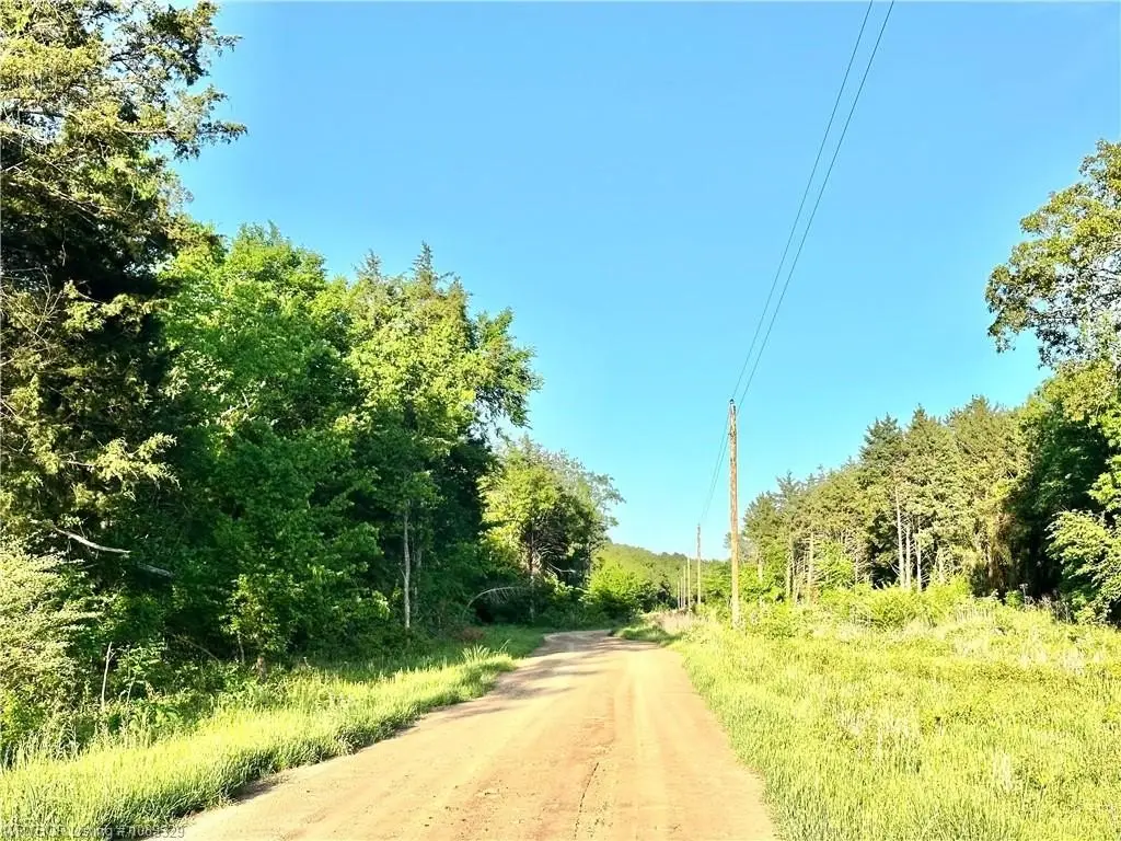 Picture 23