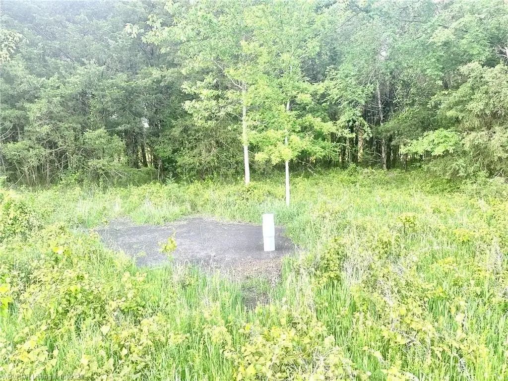 Picture 15