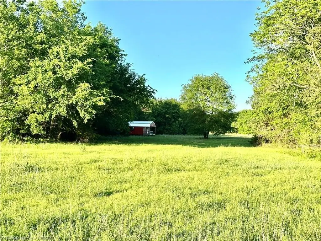 Picture 21
